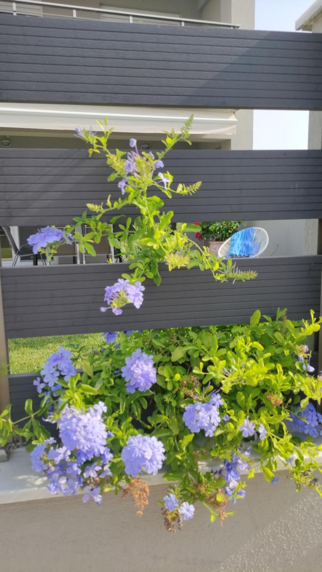 To Helidoni Apartment & Gardens Nikiti  Exterior photo